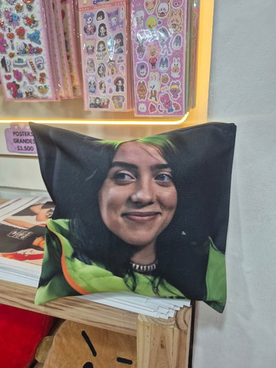 Billie Eilish / Almohadon / Modelo 3