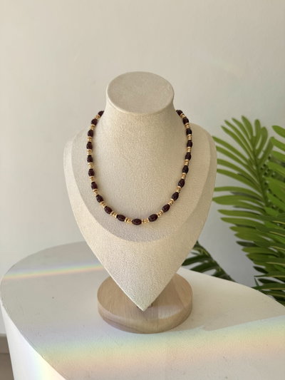 COLLAR ASTRO