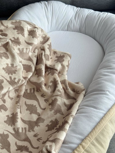 Manta Polar Soft "Dinos Monocromo"