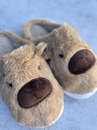 PACK X3 PANTUFLA CAPIBARA/CARPINCHO