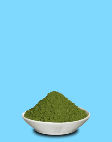 MORINGA molida