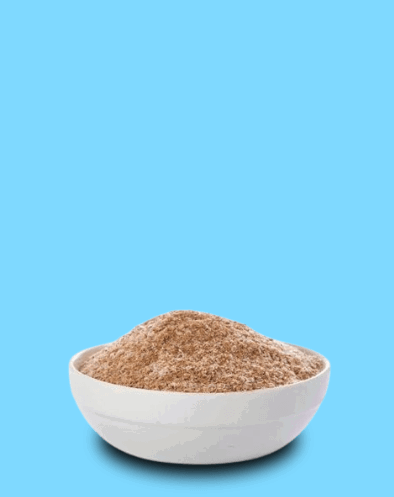 PSYLLIUM molido