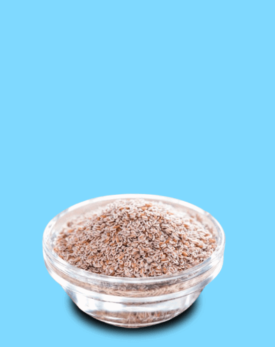 PSYLLIUM semilla