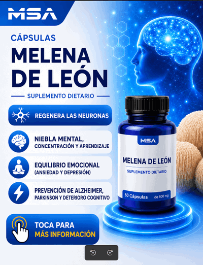 Capsulas Melena de Leon 500mg