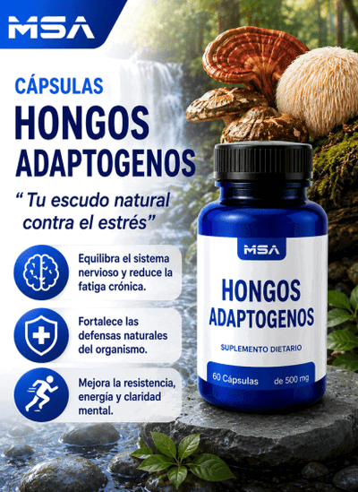 Capsulas hongos Adaptogenos