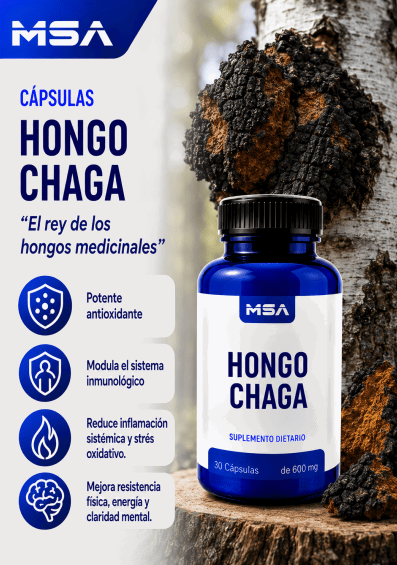Capsulas hongo Chaga