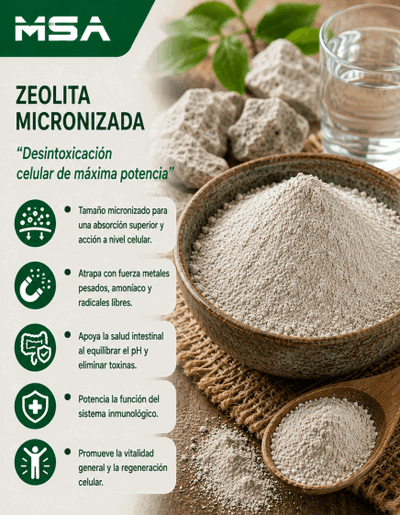 ZEOLITA en polvo