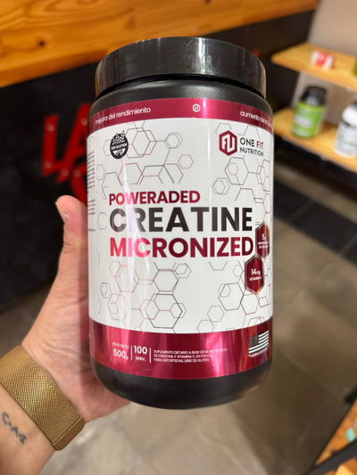 CREATINA ONE FIT 500GR