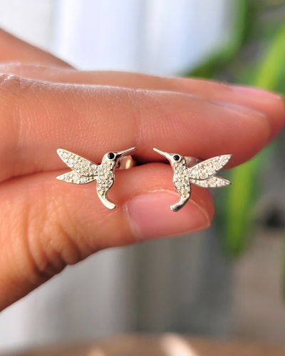 Pasantes Colibrí PL