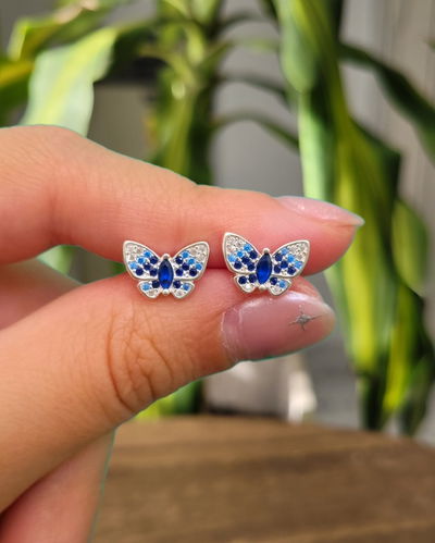 Pasantes Mariposa Azul PL