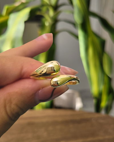 Anillo Phyrus Regulable PD