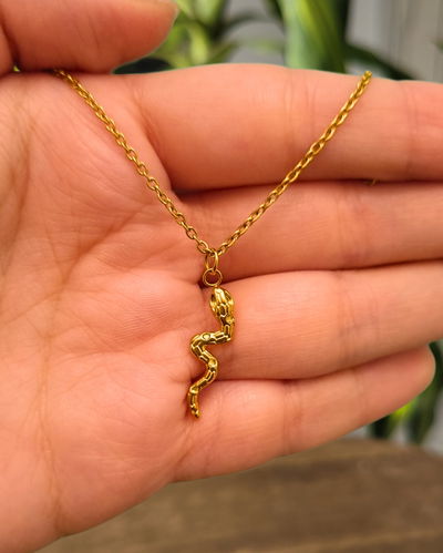 Conjunto Snake AD