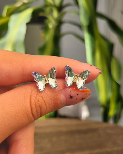 Pasantes Mariposa Celestes AD