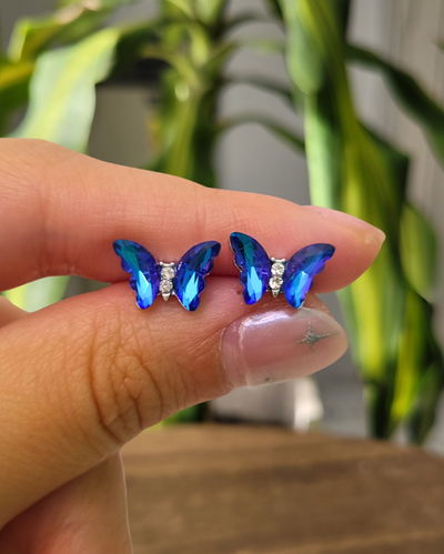 Pasantes Mariposa Azul AQ