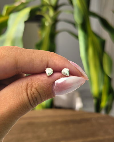 Abridores Caracola PL