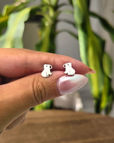 Pasantes Capibara AQ