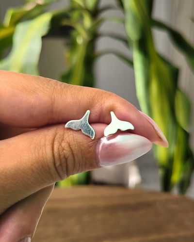 Abridores Cola de Ballena PL