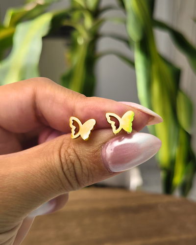 Pasantes Mariposa AD