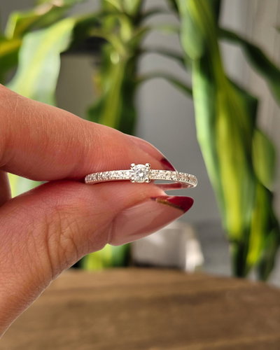 Anillo Victoria AB