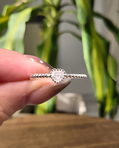 Anillo Sharon AB