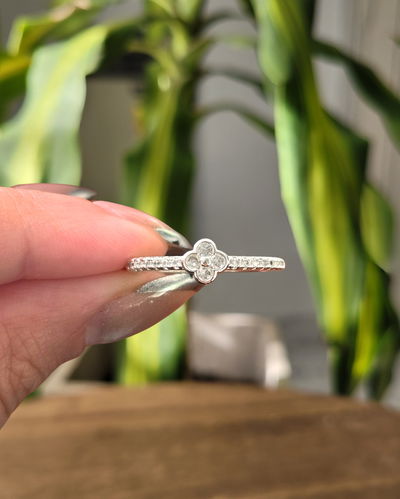 Anillo Vanessa AB