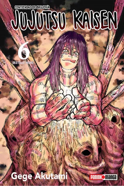 Jujutsu Kaisen 06