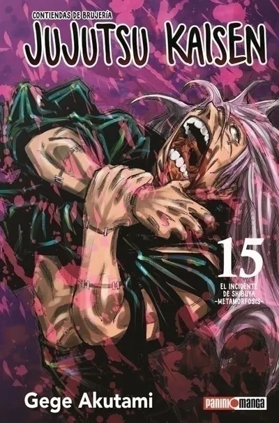 Jujutsu Kaisen 15