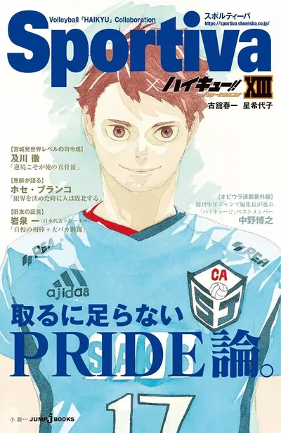 SPORTIVA x Haikyuu!! Shousetsuban!! 13 (Japonés)
