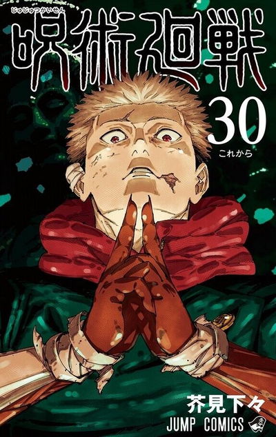 Jujutsu Kaisen 30 (Japonés)