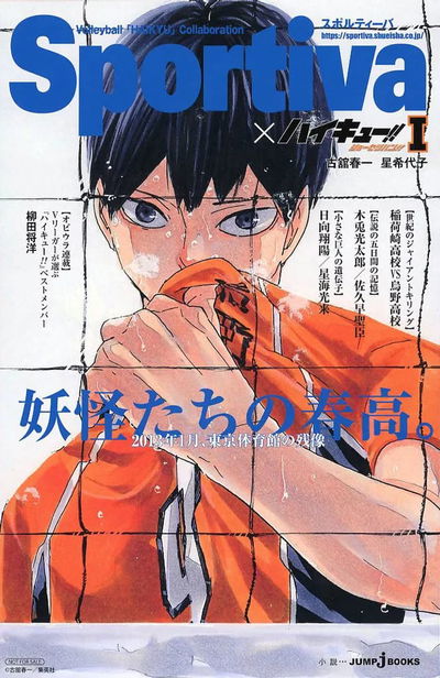 SPORTIVA x Haikyuu!! Shousetsuban!! VII (Japonés)