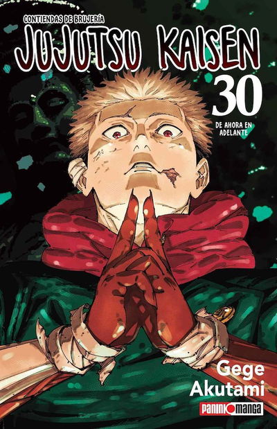 PREVENTA - Jujutsu Kaisen 30