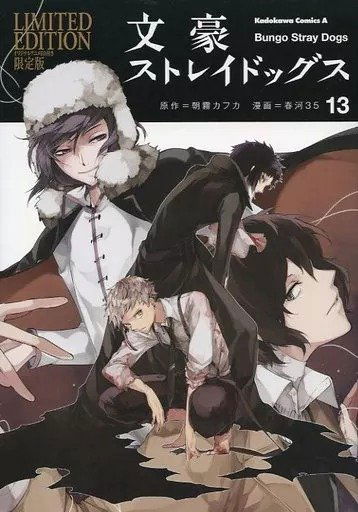 Bungo Stray Dogs 13 edición especial (Japonés)