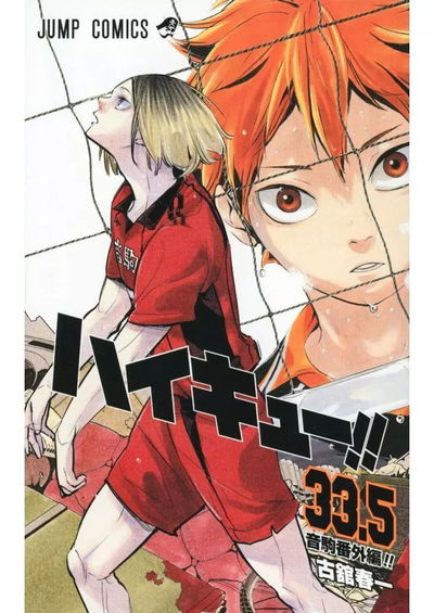 Haikyuu!! 33.5 (Japonés)