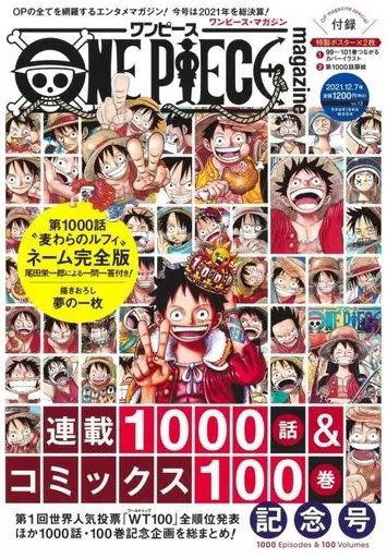 One Piece Magazine 13 (Japonés)