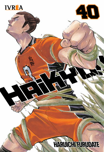 PREVENTA - Haikyu!! 40