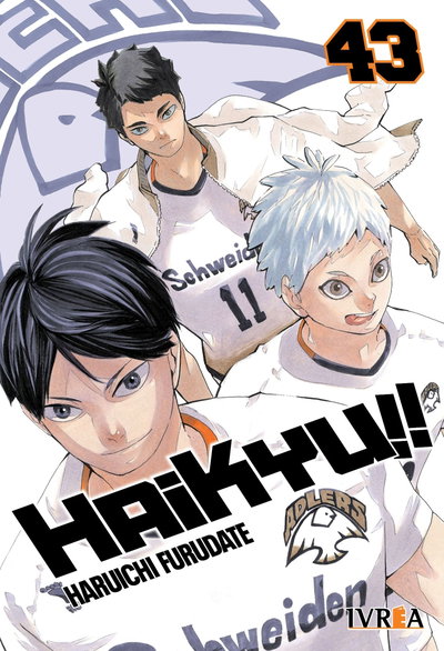 PREVENTA - Haikyu!! 43