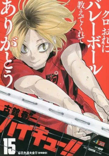 Haikyuu!! Jump Remix 15 (Japonés)