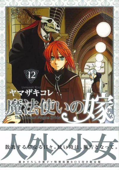The Ancient Magus Bride 12 ediciòn especial (Japonés)