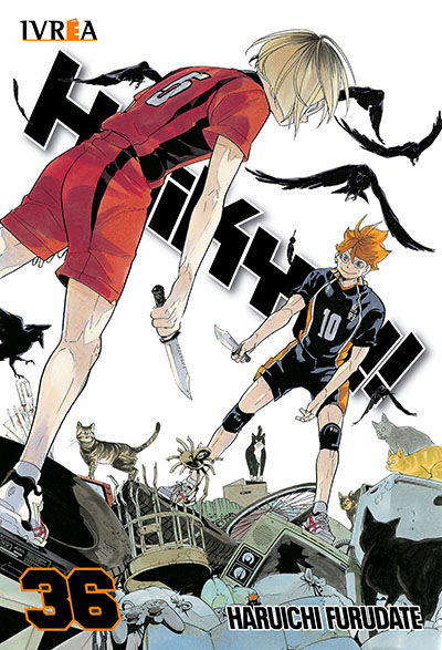 PREVENTA - Haikyu!! 36