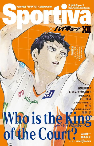 SPORTIVA x Haikyuu!! Shousetsuban!! 12 (Japonés)