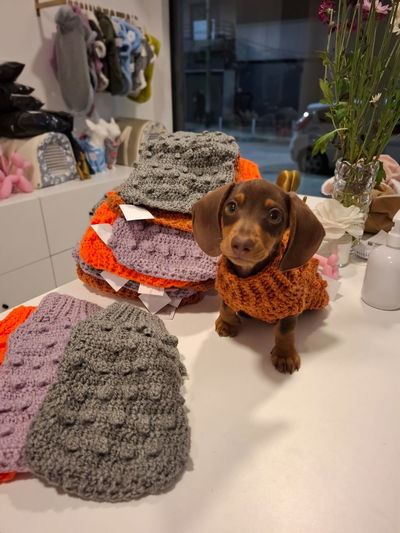 Sweaters ♡