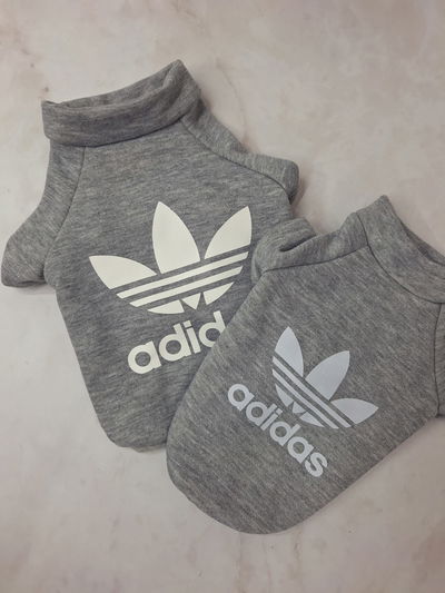 Buzo ADIDAS SALCHI 