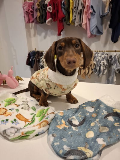 Pijama micropolar salchichas 