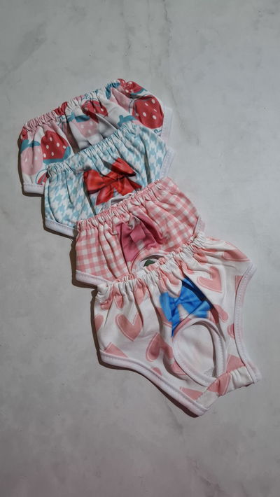 Bombachitas Higienicas