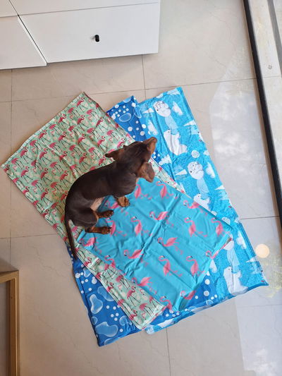 Manta Refrigerante 40x50 cm