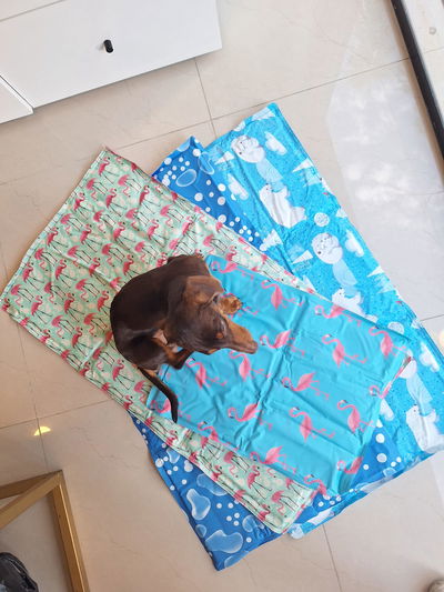 Manta Refrigerante 90x50 cm