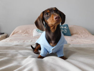 Cardigan Prada