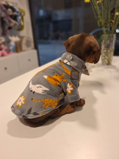 Pijamas Invierno 