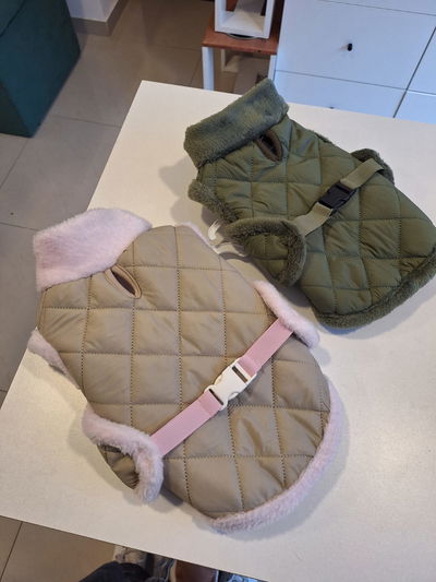 Chaleco Invierno '25 Salchis