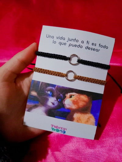 Gato y Kitty